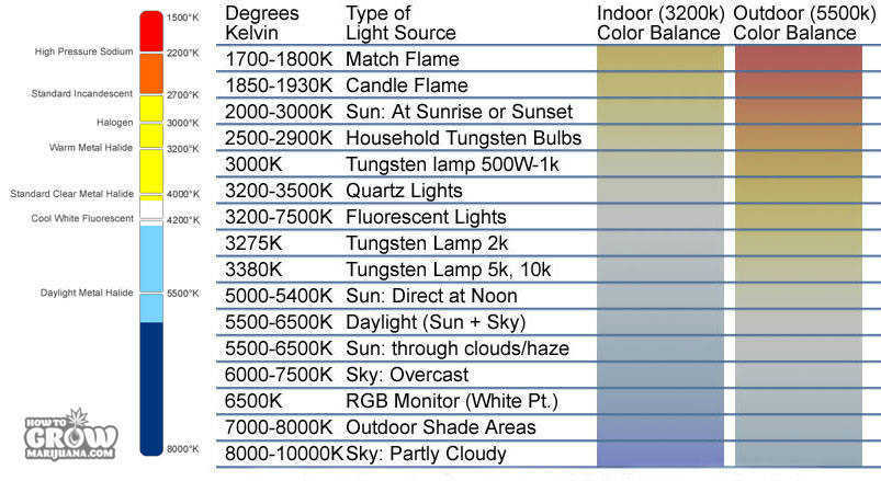 HPS, HID, MH, CFL Kellvin Scale
