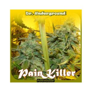Dr. Underground - Painkiller Feminized Plant Shot