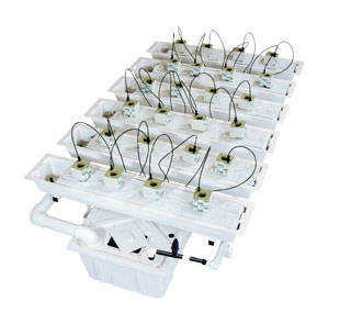 Drip Top Feed Hydroponics