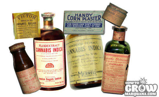 Old Time Cannabis Medicine