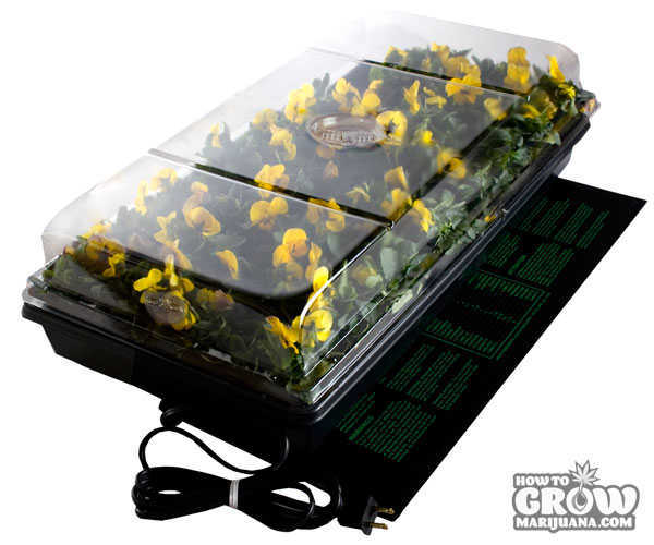 Hydrofarm Germination Station for Marijuana