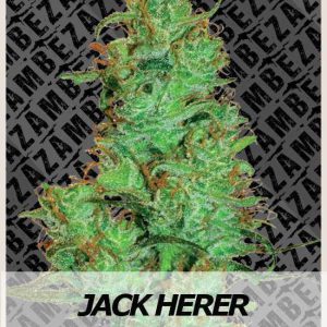 Zambeza - Jack Herer Automatic Plant Shot