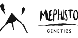 Mephisto Genetics Logo