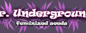 Dr. Underground Logo