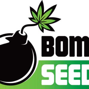 Bomb Seeds Logo