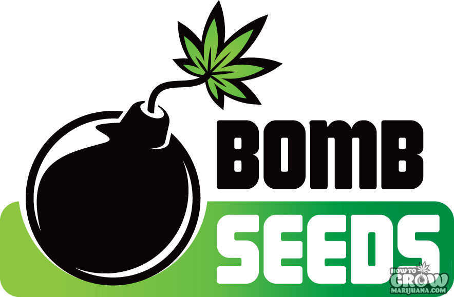 Bomb Seeds Logo
