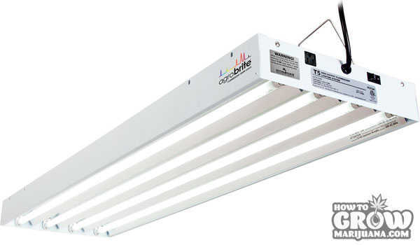 Enviro grow t5 cfl lights