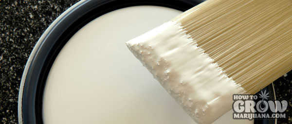 matte white paint for grow rooms