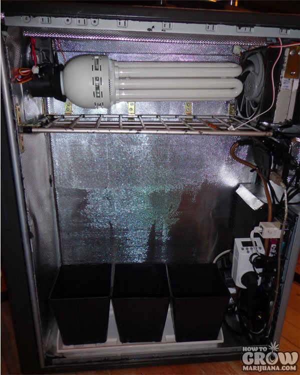 PC tower grow box with cfl bulb and three plant pots