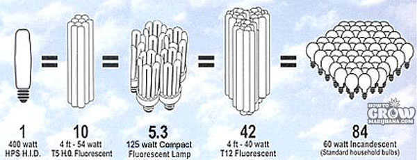 comparison of HPS, CFL and HID grow lights