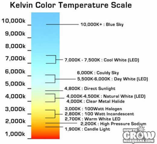 kelvin scale for cannabis grow lights
