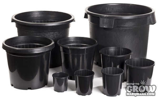 MARIJUANA_PLASTIC_CONTAINER