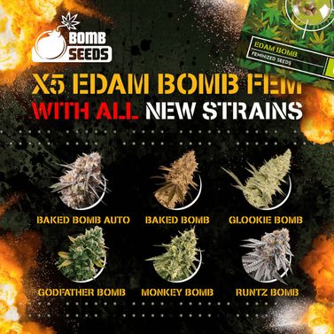 Bomb Seeds New Strain Ad