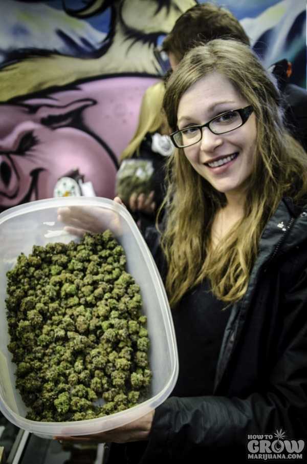 Colorado Cannabis Tour