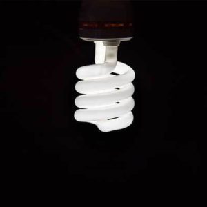 cfl grow lights lights