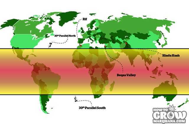 High UV light areas to increase THC