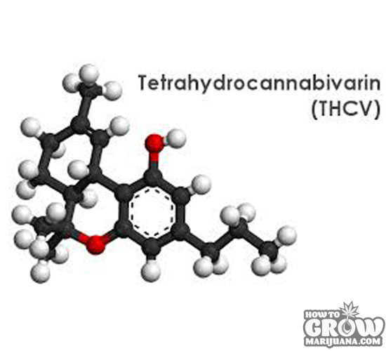 Molecular Structure of THCV
