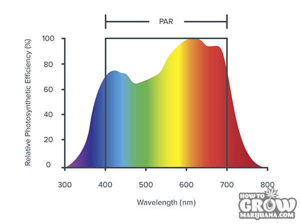 PAR response spectrum