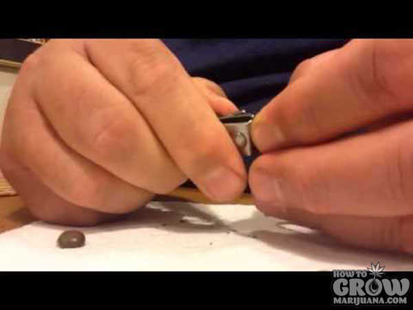 Scarify Seeds with Nail Clippers