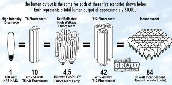 Marijuana Grow Lights Fluorescent