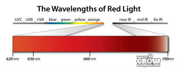 marijuana-red-light-band