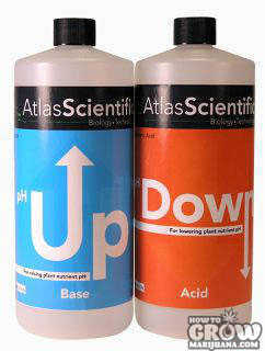 Hydroponic Nutrients and Marijuana Fertilizers